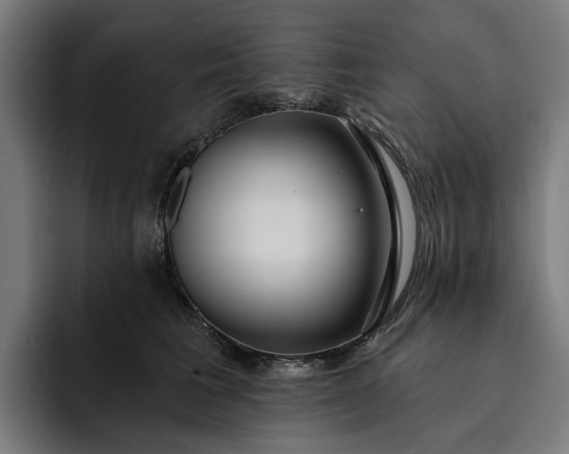 X0000093250613200710101442