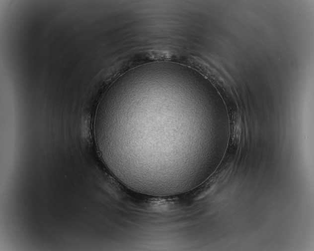 X0000093250616200710101442