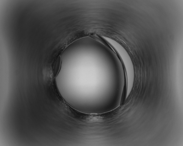 X0000093250617200710101442