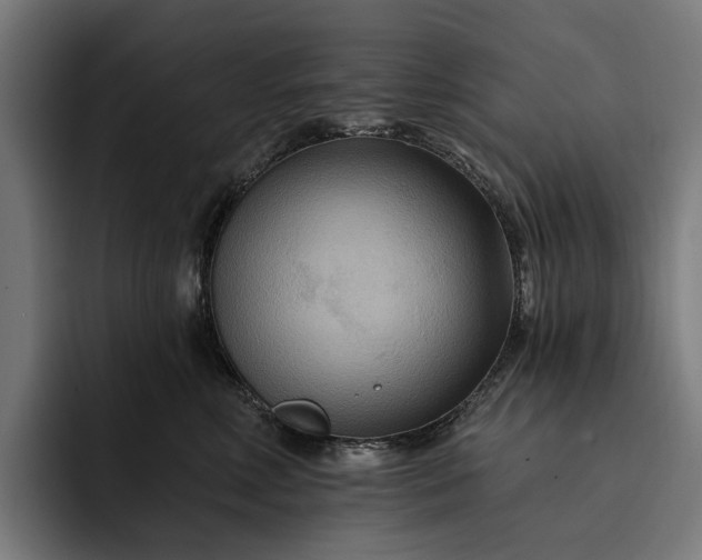 X0000093250618200710101442