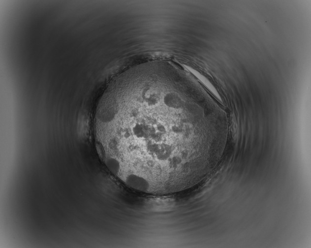 X0000093250619200710101442