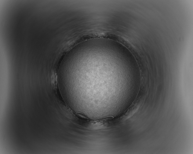 X0000093250624200710101442