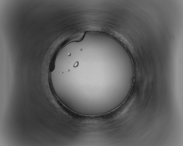 X0000093250625200710101441