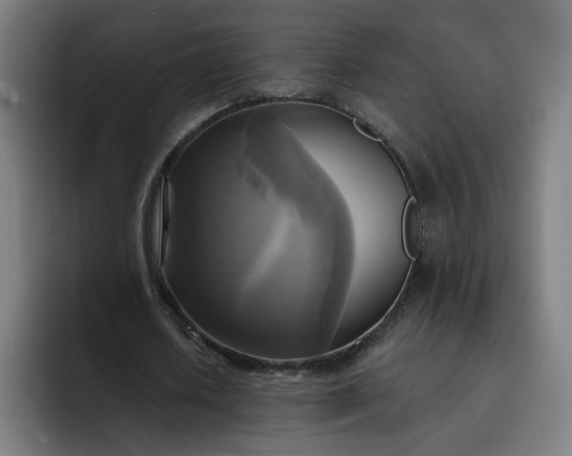 X0000093250626200710101441