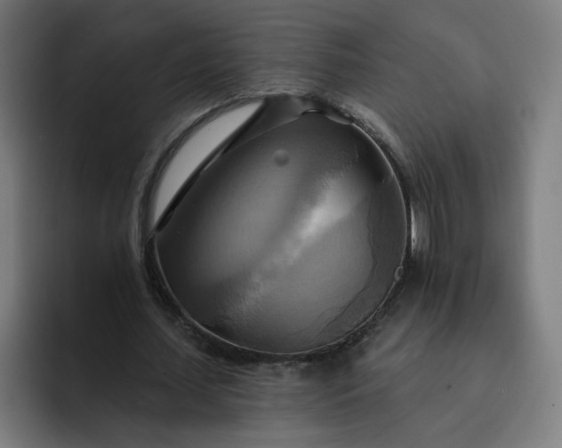 X0000093250627200710101441