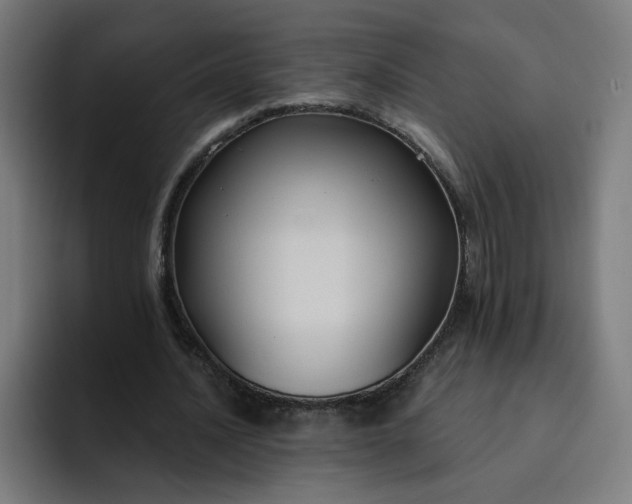 X0000093250628200710101441