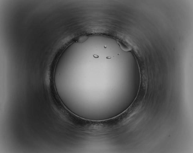 X0000093250631200710101441