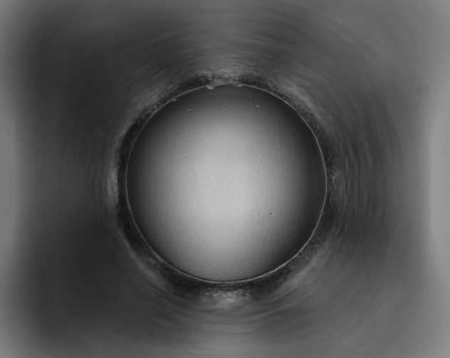 X0000093250638200710101441