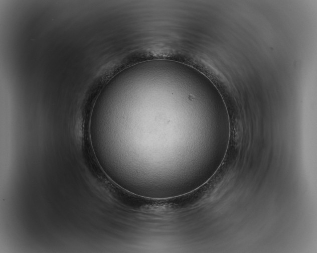 X0000093250639200710101441