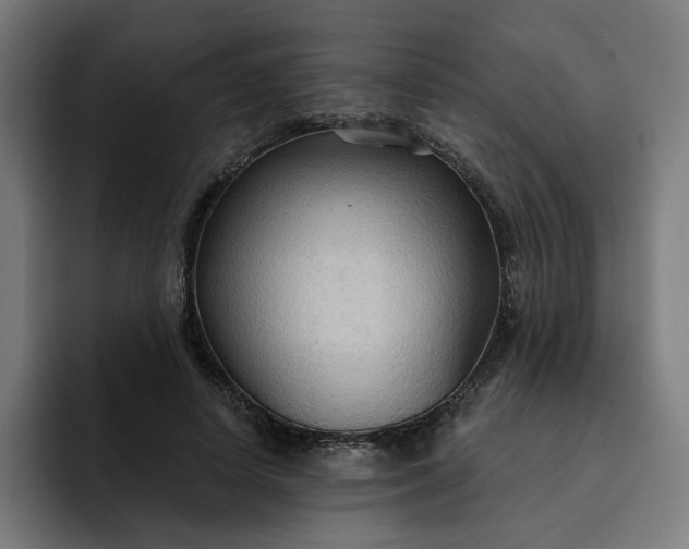 X0000093250642200710101441