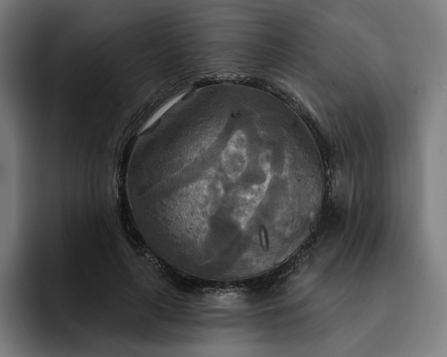 X0000093250643200710101441