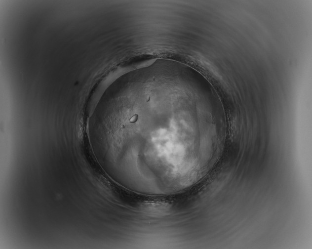 X0000093250644200710101441