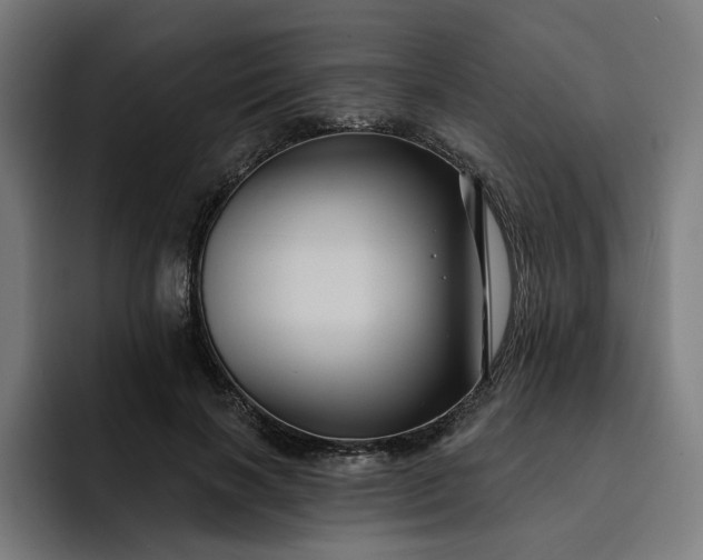 X0000093250646200710101441