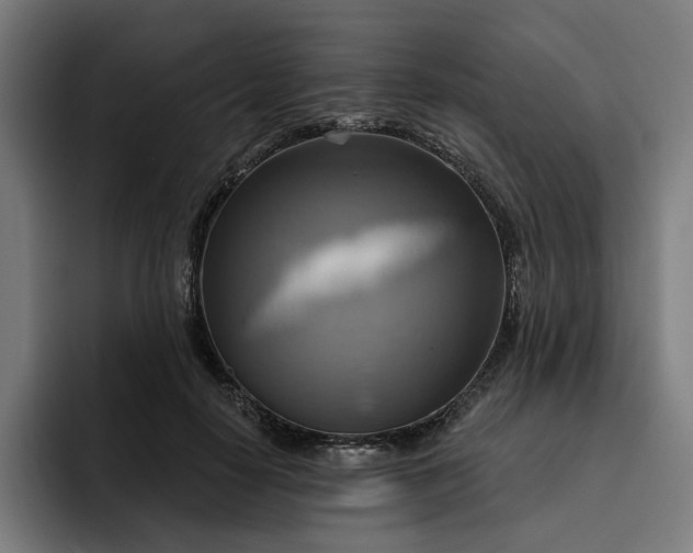 X0000093250650200710101441