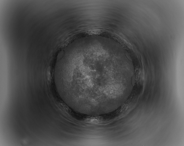 X0000093250655200710101441