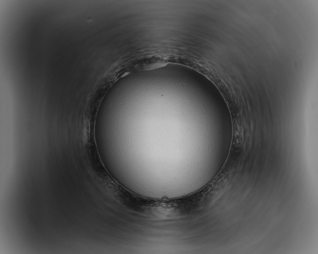 X0000093250656200710101441