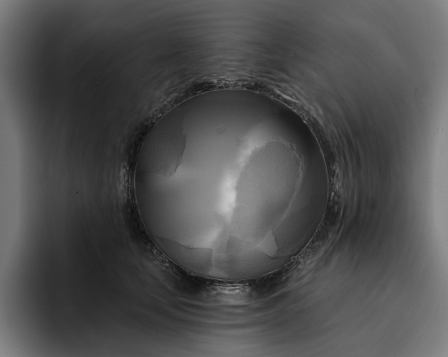 X0000093250659200710101442