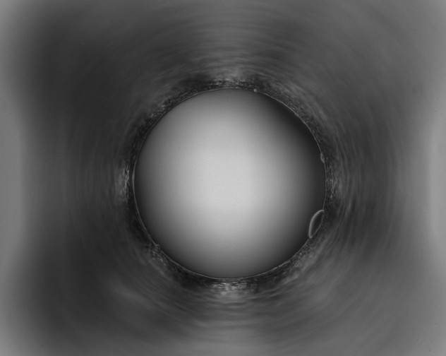 X0000093250660200710101442