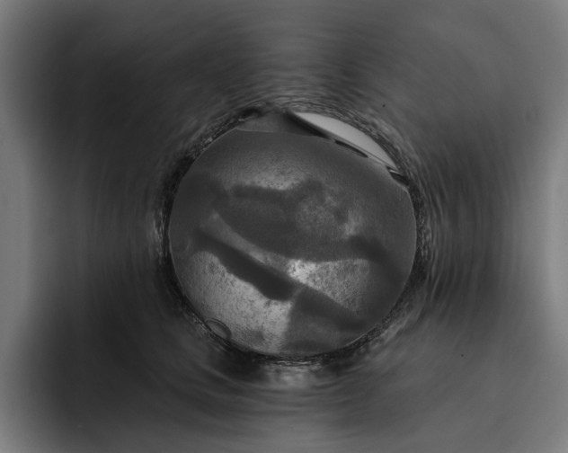 X0000093250661200710101442