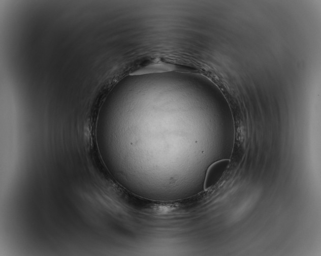 X0000093250662200710101442