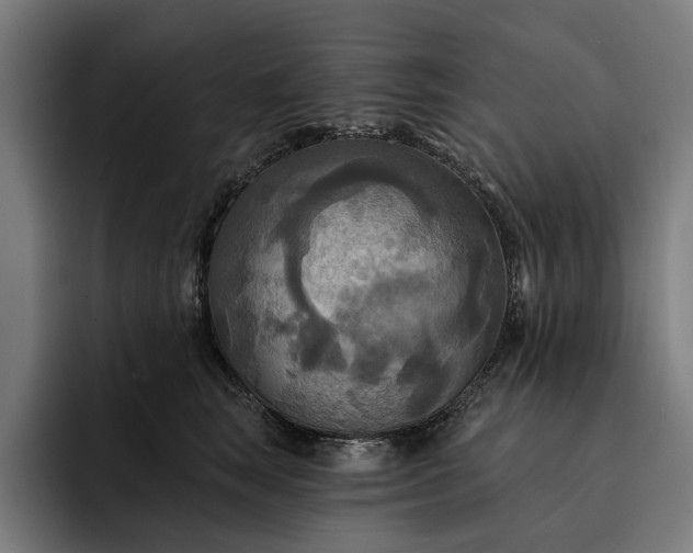 X0000093250663200710101442