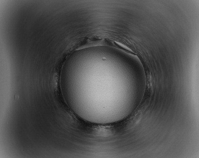 X0000093250664200710101442