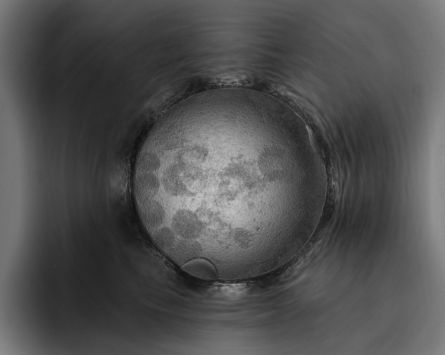 X0000093250665200710101442