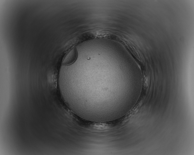 X0000093250666200710101442