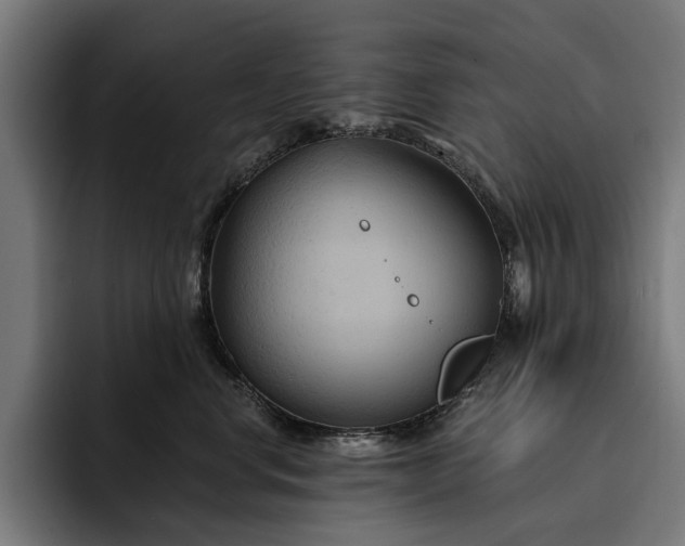 X0000093250668200710101442