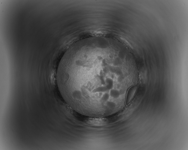 X0000093250671200710101442