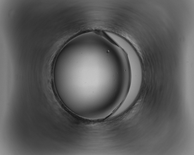 X0000093250673200710101441