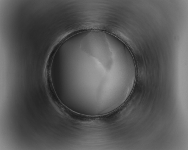 X0000093250674200710101441