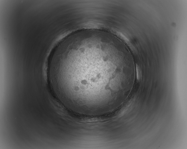 X0000093250675200710101441