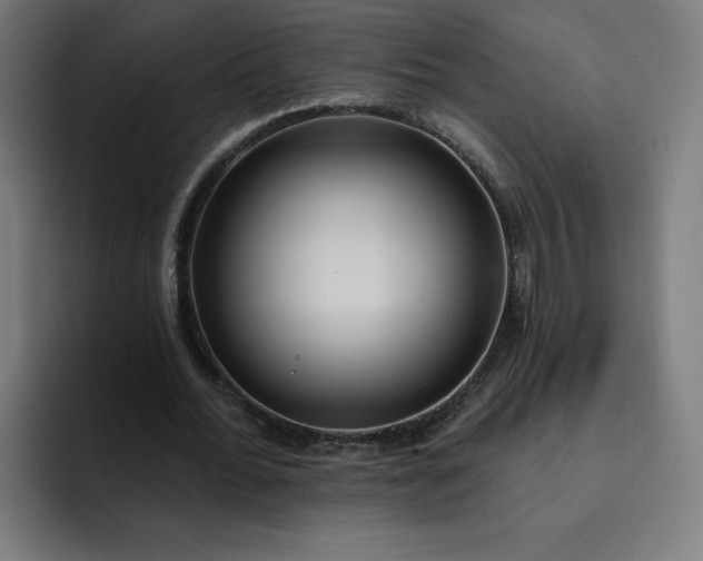 X0000093250676200710101441