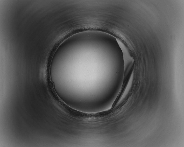 X0000093250677200710101441