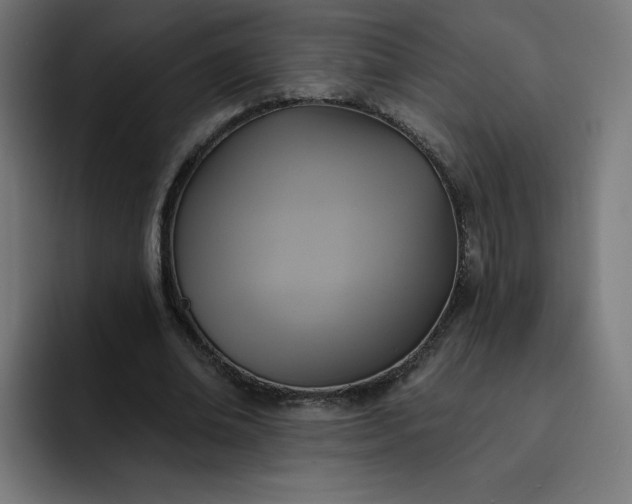 X0000093250678200710101441