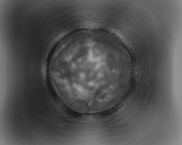 X0000093250679200710101441