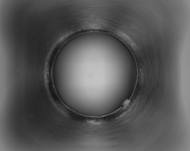 X0000093250680200710101441