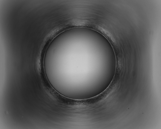 X0000093250682200710101441