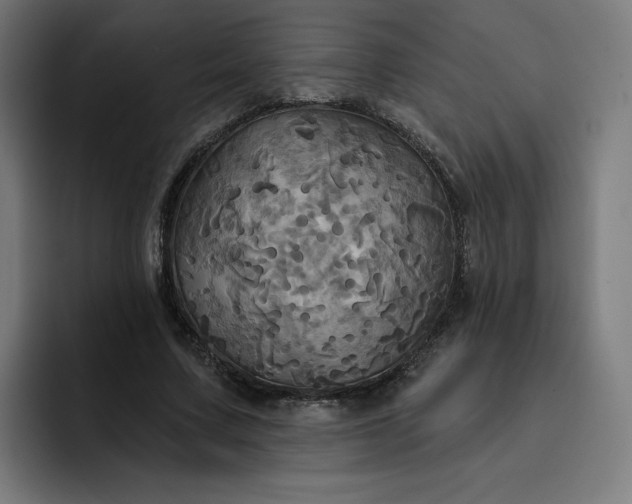 X0000093250683200710101441