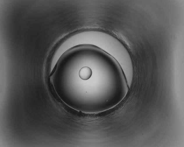 X0000093250684200710101441