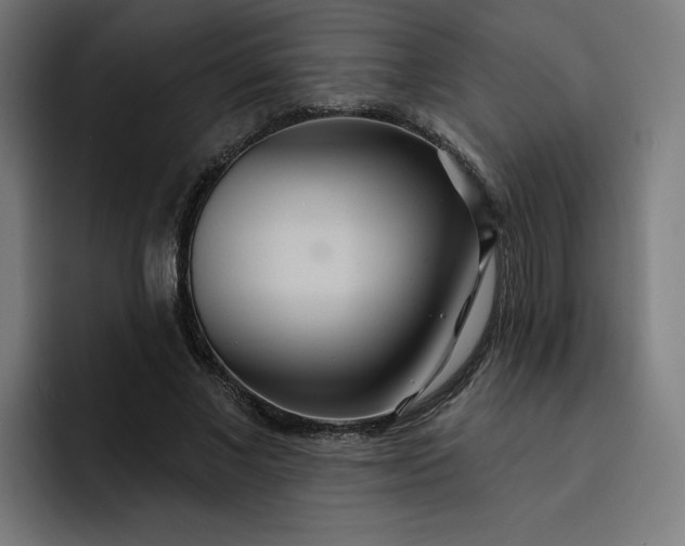 X0000093250685200710101441