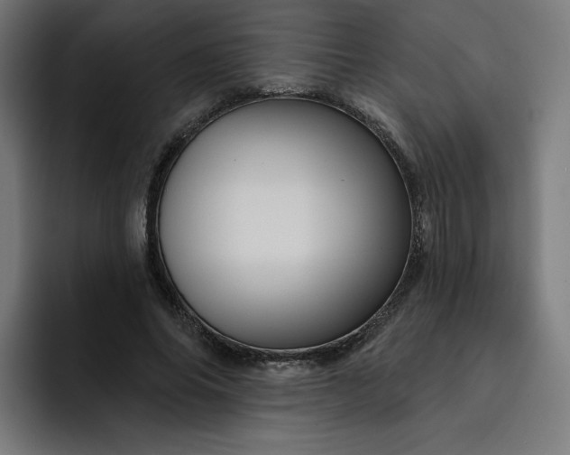 X0000093250686200710101441