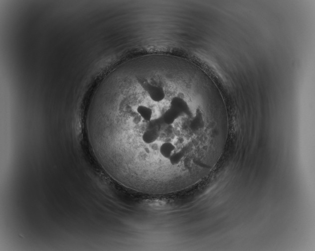 X0000093250687200710101441