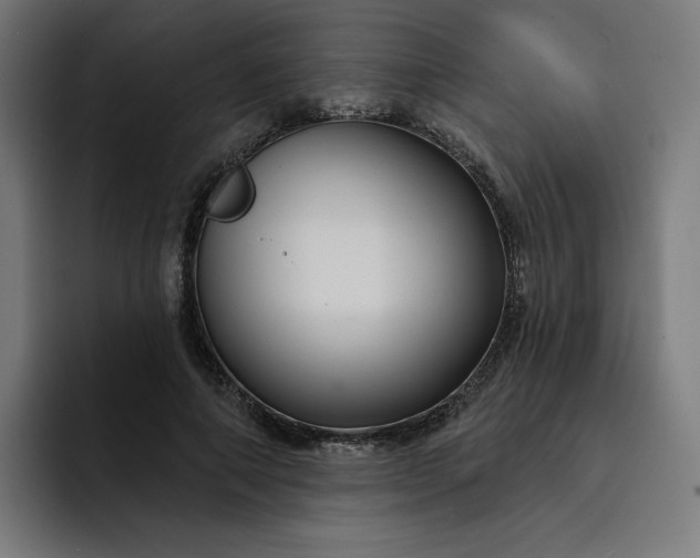 X0000093250690200710101441