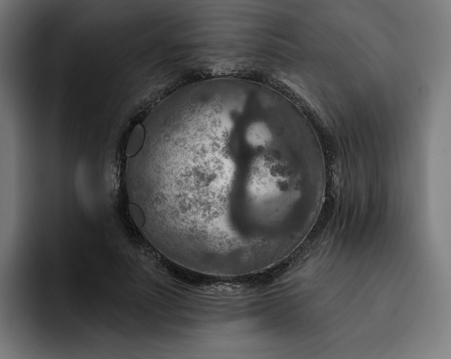 X0000093250691200710101441