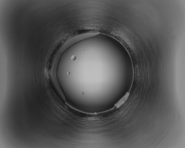 X0000093250692200710101441