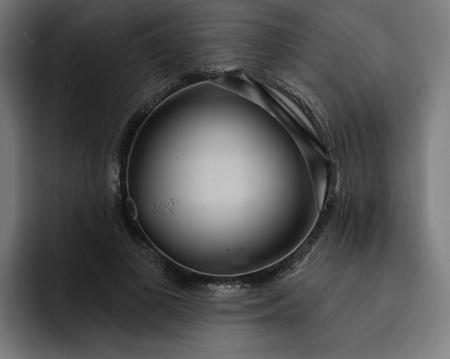 X0000093250693200710101441