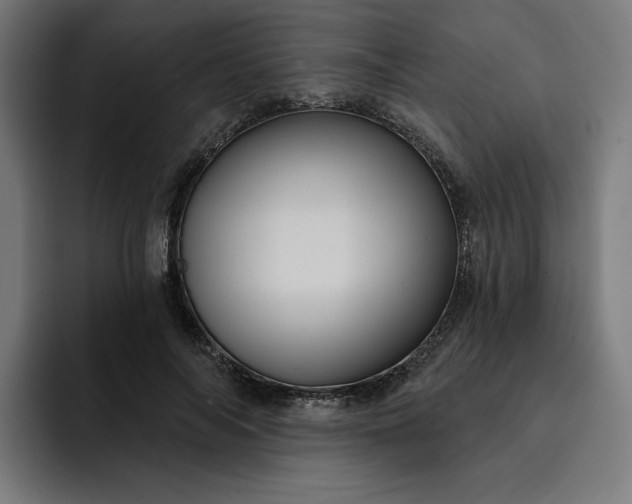 X0000093250694200710101441