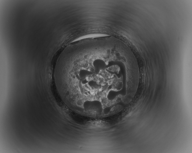 X0000093250695200710101441